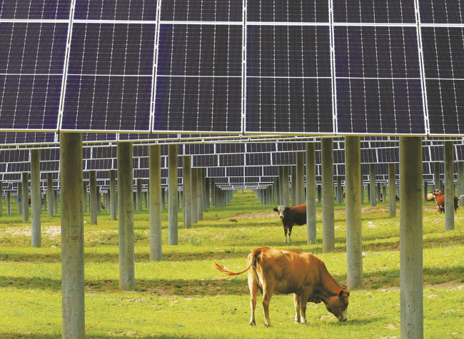 World's First Ecological and Environmental Code Adopted in China