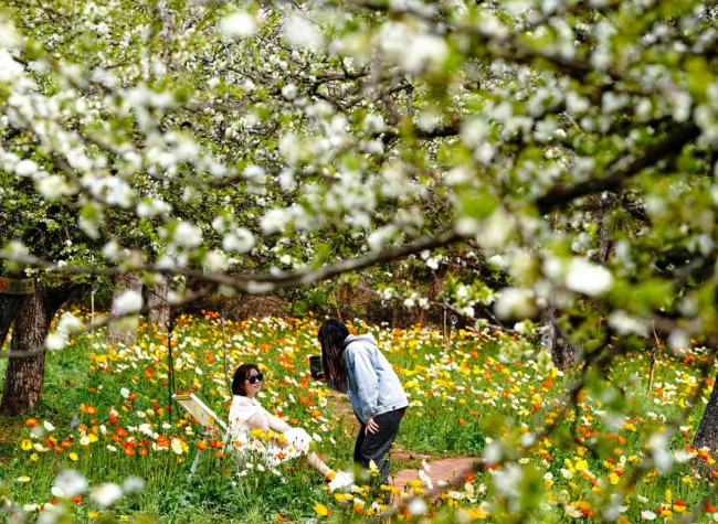 Economic Watch: Fields to Vases: China's