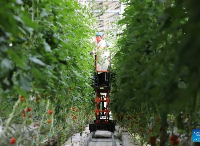 Economic Watch: China's Agricultural Technology Makes Leap Forward in Going Global