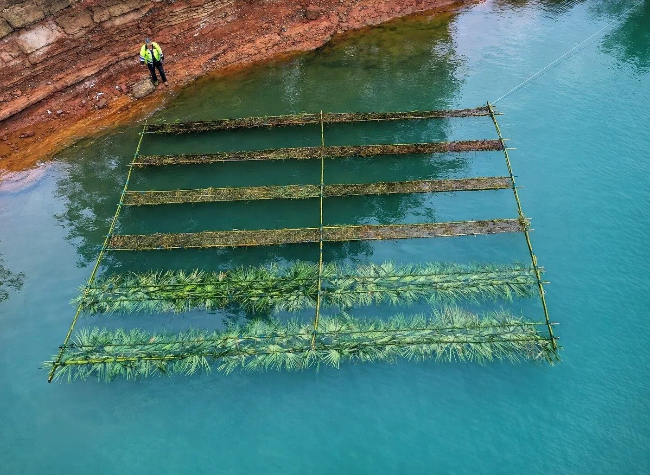 China Deploys Artificial Fish Nests to Restore Yangtze Spawning Habitats