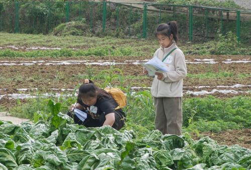 Chongqing Wraps Up First Spring Break: Families Explore Travel and Education Programs