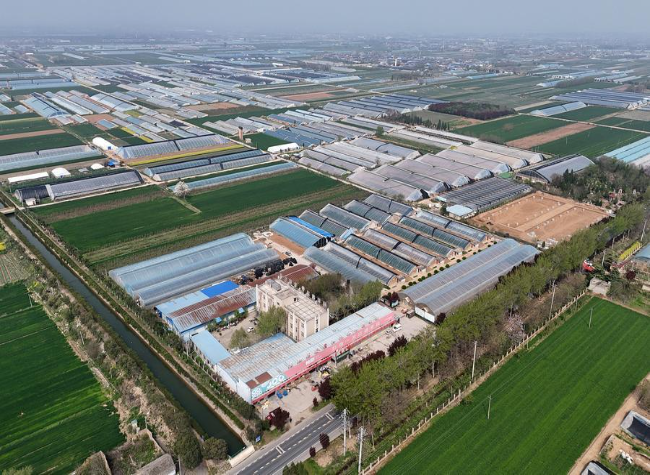 China's Rural Industries Maintain Solid Growth Momentum in Q1