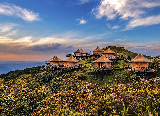 From Travel to Living: How Chongqing Fits into China's Long-Stay Trend