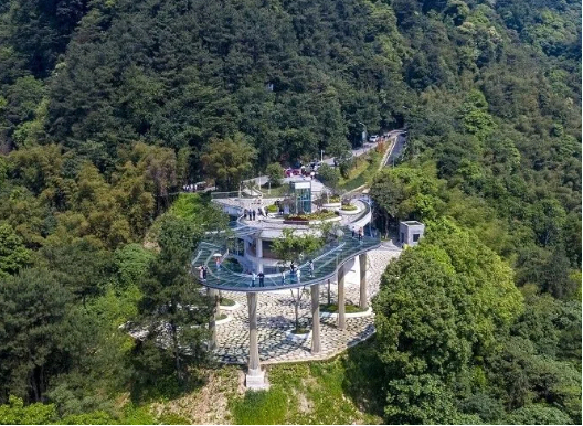 Chongqing Unveils 74B Yuan Forestry Investment Package to Attract Global Investors