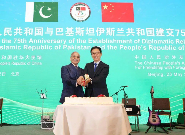China, Pakistan to Stand Firmly Together Amid Complex External Environment: Chinese VP