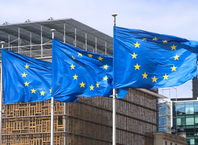 China Slams EU's Discriminatory Restrictions on Chinese Inverters