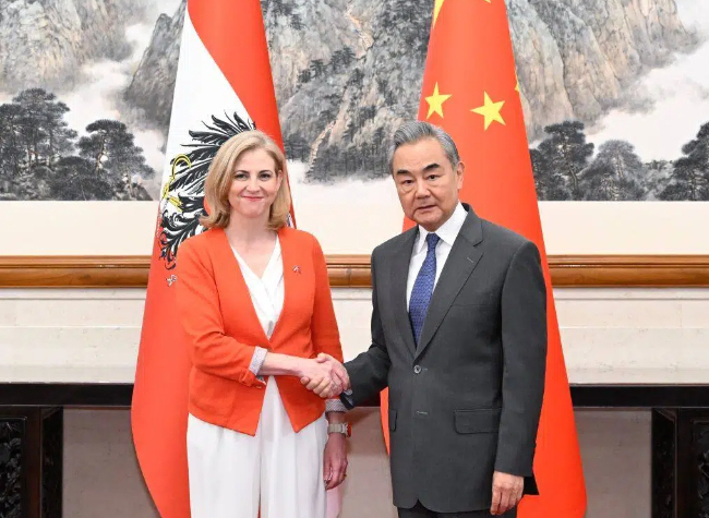 Chinese FM Meets Austrian Counterpart