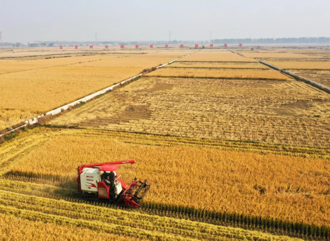 China Focus: China Issues 5-Year Plan for Agricultural, Rural Modernization