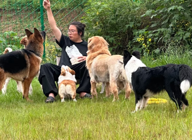 Former Village School in Chongqing Reopens as Pet-Care Center Amid China's Growing Pet Economy