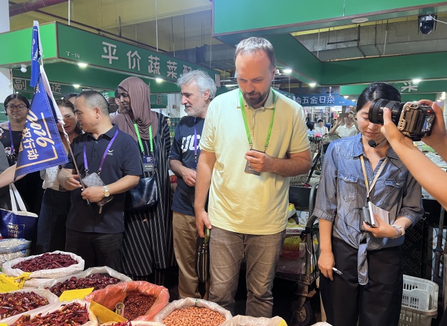 International Experts Praise Chongqing's Community Renewal and Ecological Progress