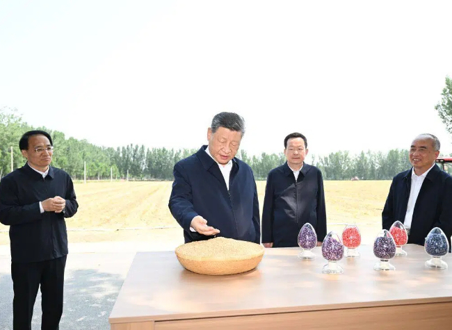 Xi Calls for Solid Measures to Modernize Agriculture, Rural Areas