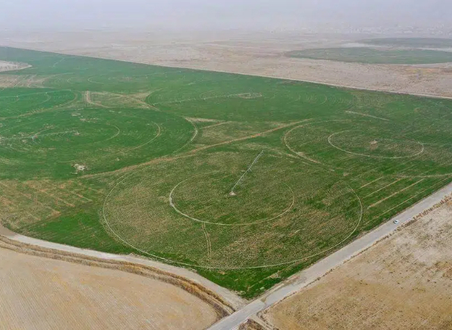 China's Desertification Control Explores Win-Win Path for Ecology, Livelihoods