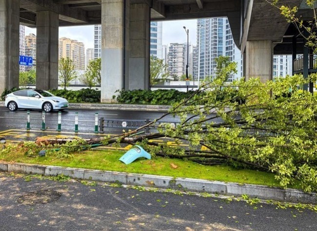 China Steps Up Flood Control, Disaster Relief Efforts as Typhoon Bavi Moves Inland