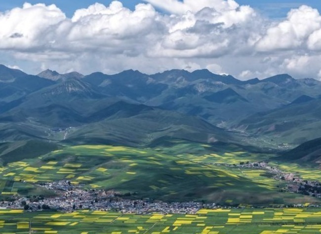 From Barren Plateau to Thriving Farmland: Tech-Driven Agriculture Transforms Farmers' Lives