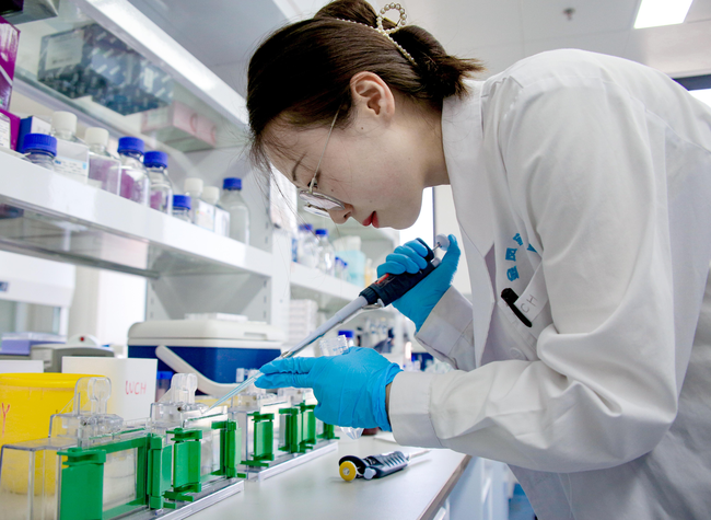 Research assistant positions expand in Chongqing as graduates pursue scientific careers