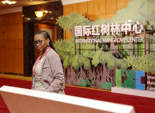 New Framework Advances Global Mangrove Restoration, Protection