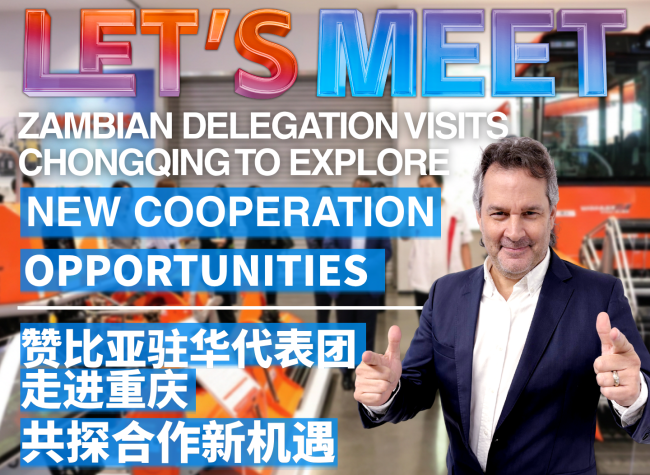Zambian Delegation Visits Chongqing to Explore New Cooperation Opportunities | Let's Meet