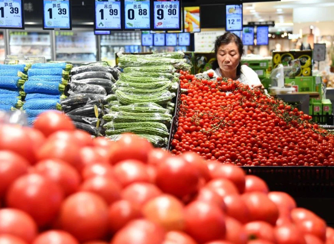 China's H1 Price Levels Remain Stable Amid Steady Economic Momentum