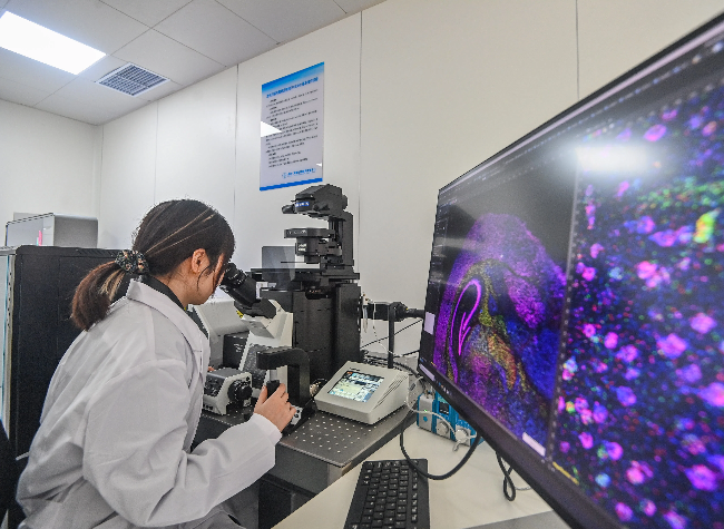 From 5 Minutes to 50 Seconds: Jinfeng Laboratory Uses AI to Speed Up Pathology Diagnosis | Future, Made Here