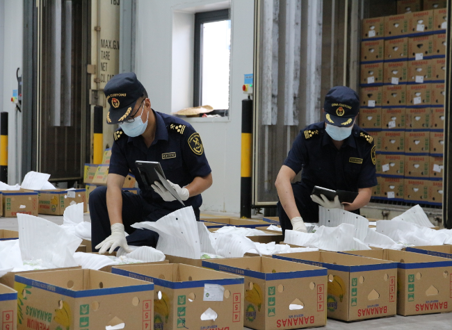 China-Laos Railway Banana Shipments to Chongqing Reach 2,000 Tonnes as Service Becomes Regular
