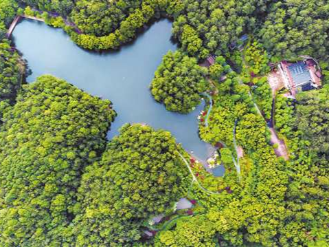 From Elderly Care to Healthy Aging: Chongqing Expands Integrated Wellness Services