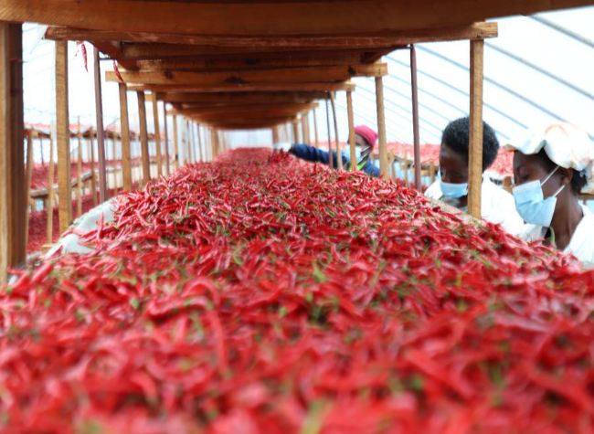 African Exporters Reap Early Benefits of China's Zero-Tariff Treatment