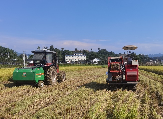 Chongqing Brings Precision Farming to China's Green Transition