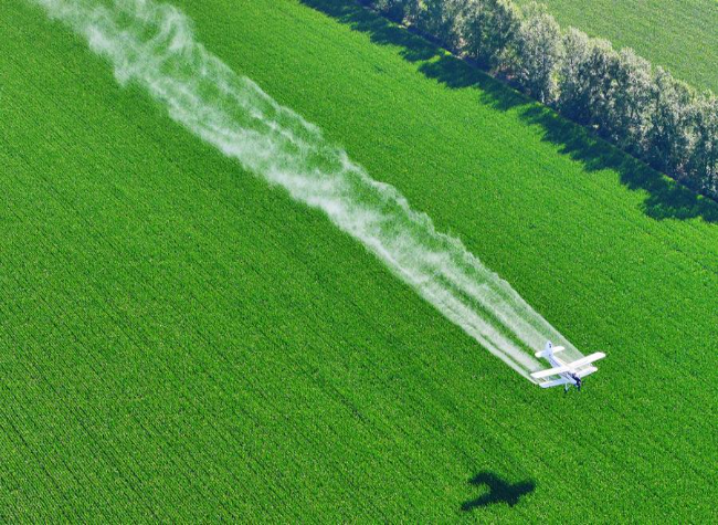 Tech Innovation Reshapes China's Granary Heartland, Bolstering Food Security