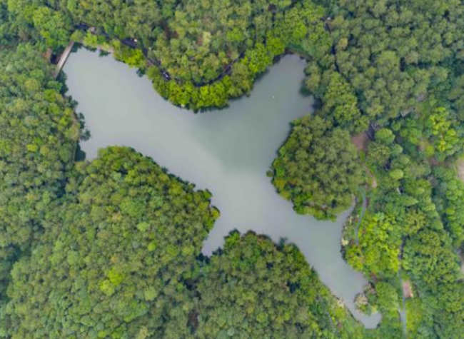 Ecological Restoration Revives Daihu Lake, a Mountain Jewel