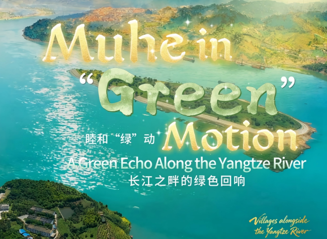 Muhe in 