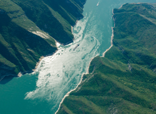 A Yangtze Fish's Return Marks a Decade of Ecological Recovery