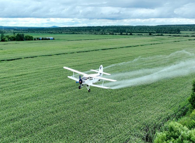 China Improves Investment Mechanism to Advance Rural Revitalization