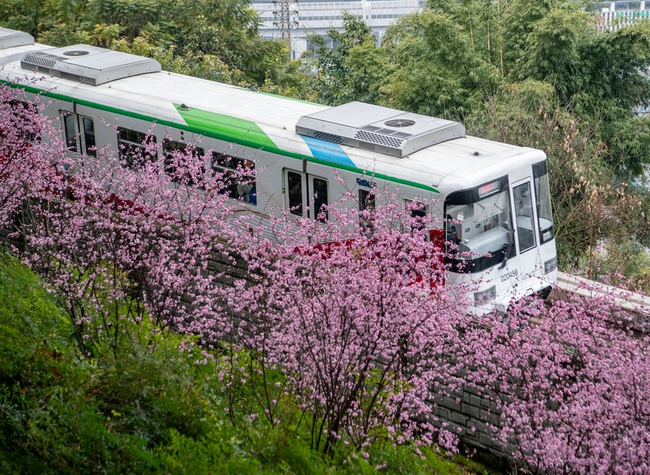 Chongqing to Add Thai Announcements at Key Urban Rail Stations Before National Day