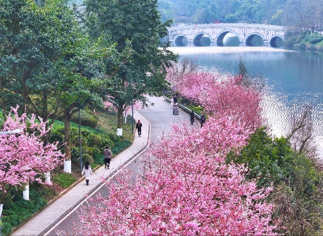 Inside Chongqing's AI Plan to Make Urban Life Safer and More Efficient