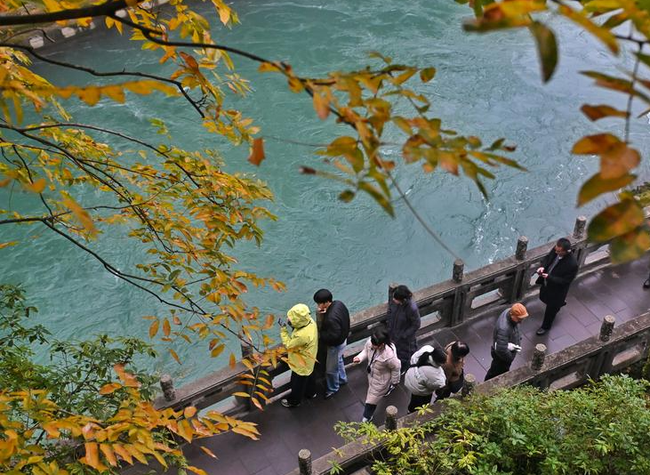 A Chongqing Holiday Guide from Yangren Jie's Return to Nanshan Nights