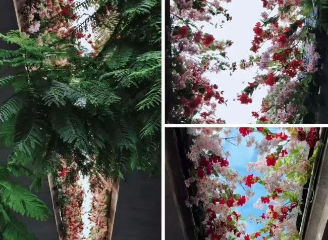 Chongqing Adds Another Must-See Spot: A Flower-Filled Camp Hidden Under an Overpass