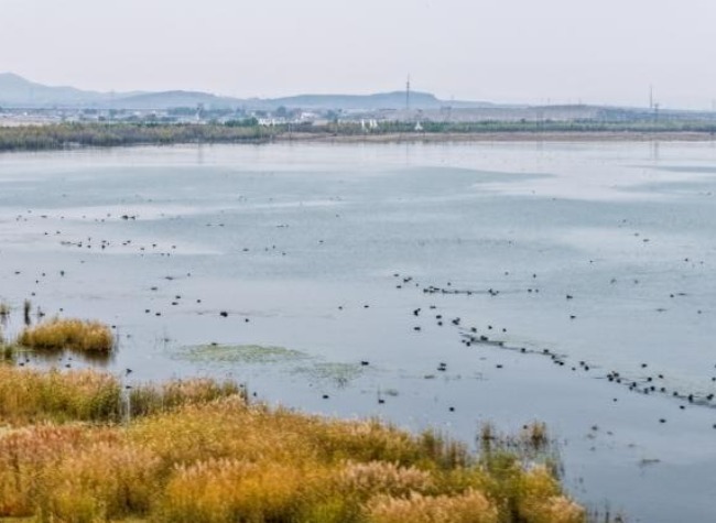 Decades of Restoration Work Breathe New Life Into Once-Vanished Lake