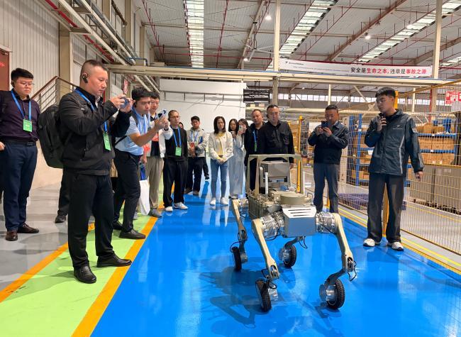 A Car Every 30 Seconds: International Guests Explore Chongqing's Automated Factory